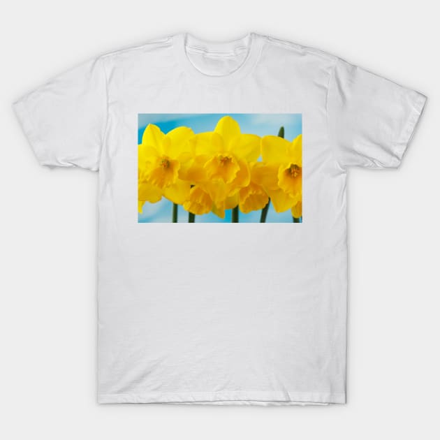 Narcissus  &#39;Quail&#39;  AGM   Division 7  Jonquilla  Daffodil T-Shirt by chrisburrows